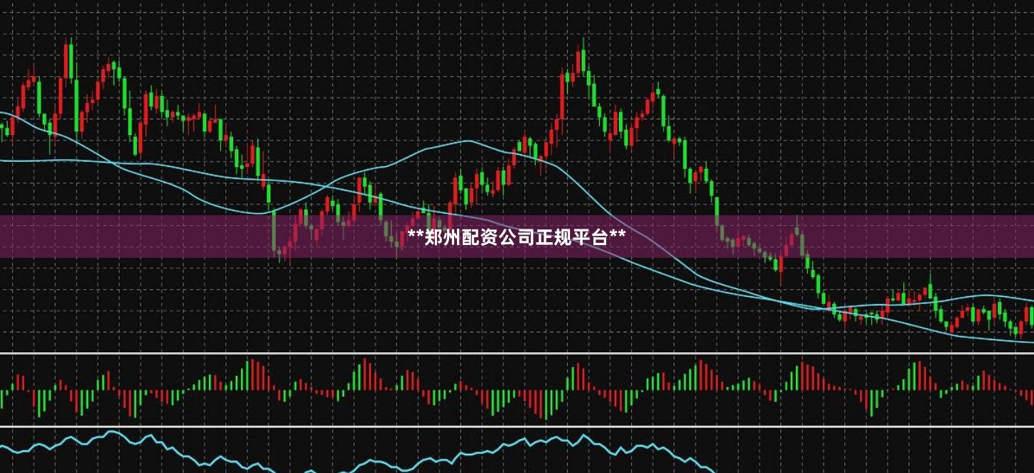 **郑州配资公司正规平台**