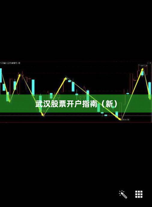 武汉股票开户指南(新)