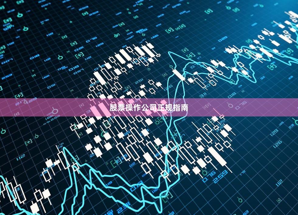 股票操作公司正规指南